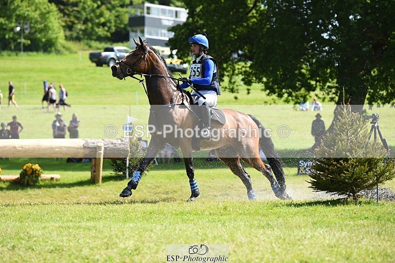 230527-102946-08571 - 255-HI_MR_HENRY-Henry_Hobby-XC