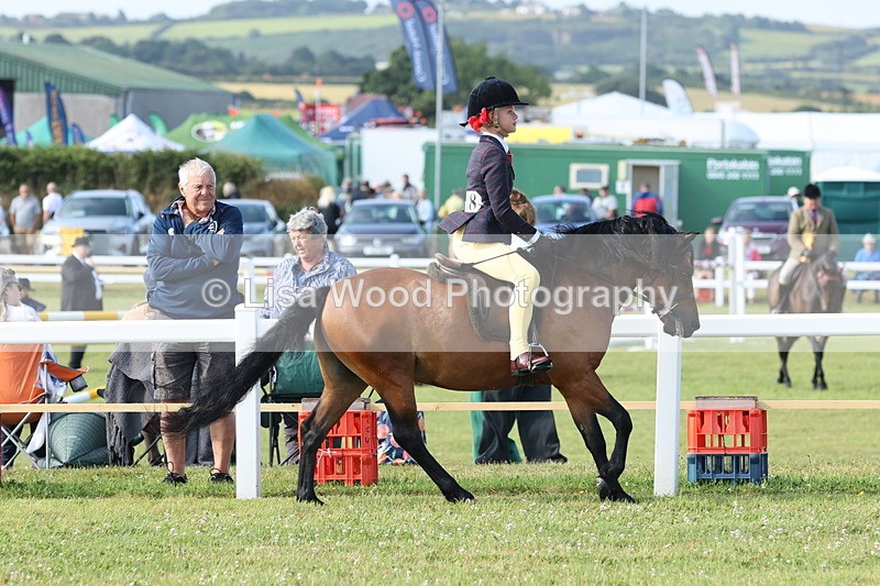 JPP_0540 - Class 15: Cornish Combination First Ridden