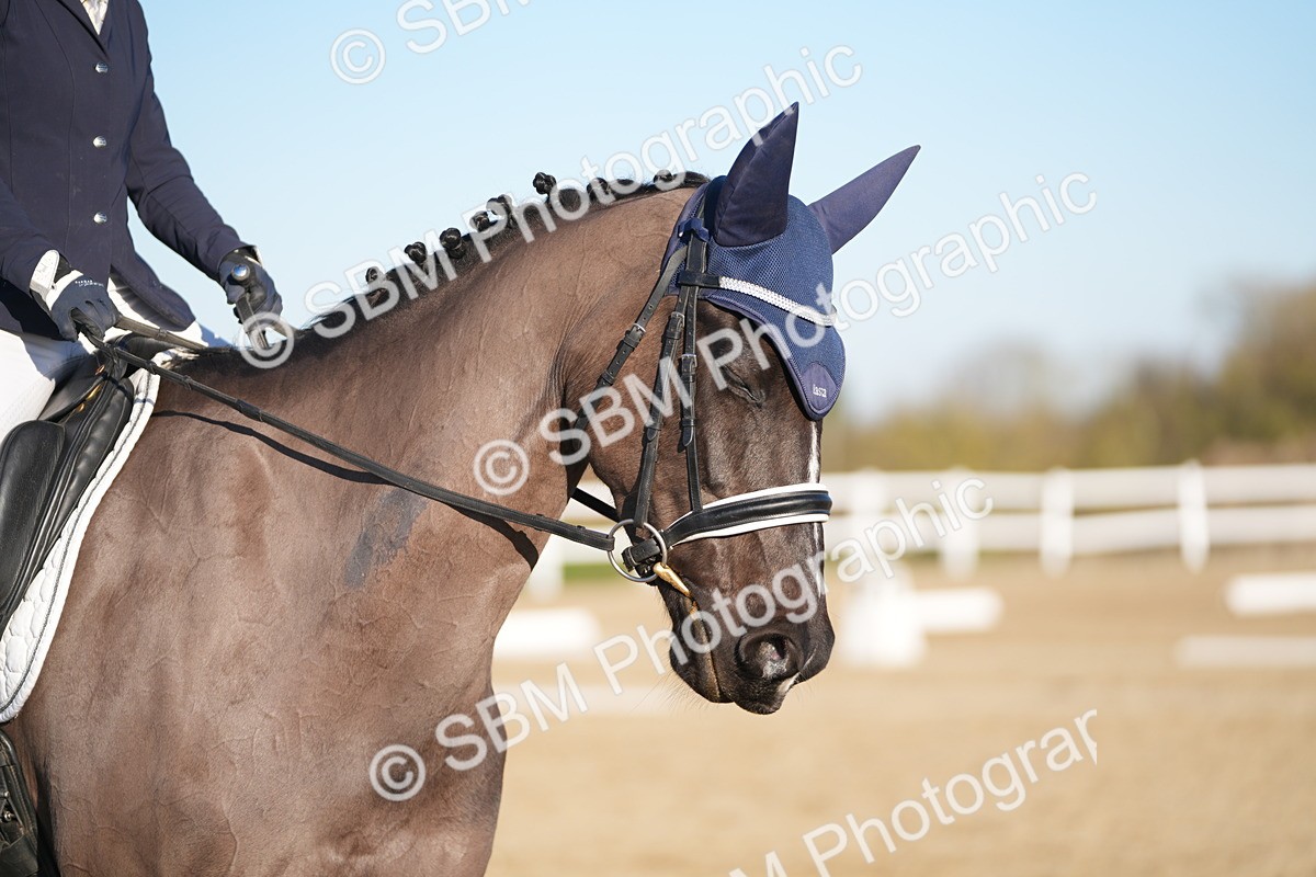 SBM_005597 - Class 6 - E1-80cm