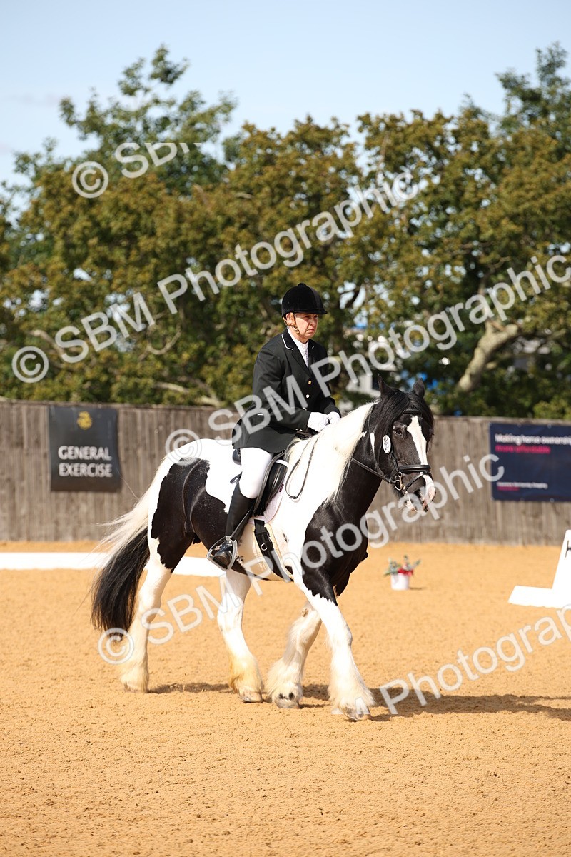 SBM_21832 - D5 - Small Tour Championship - Intro C