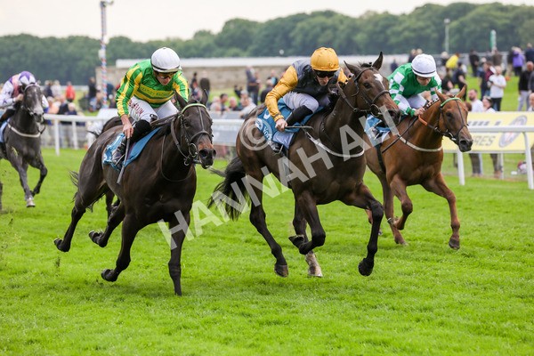 150524-Race 6-Shadow Army-1583 - Race 6 4.45pm British Stallion Studs EBF Novice Stakes