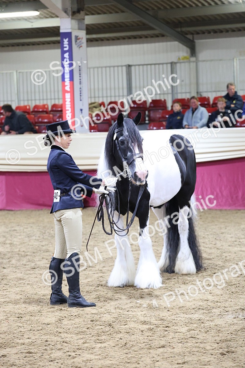 SBM_20449 - Class F - IH Small (148cm & Under)Champ
