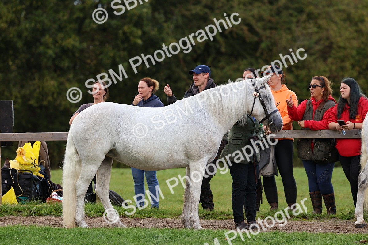 SBM_39451 - S24 - Young Veteran In Hand