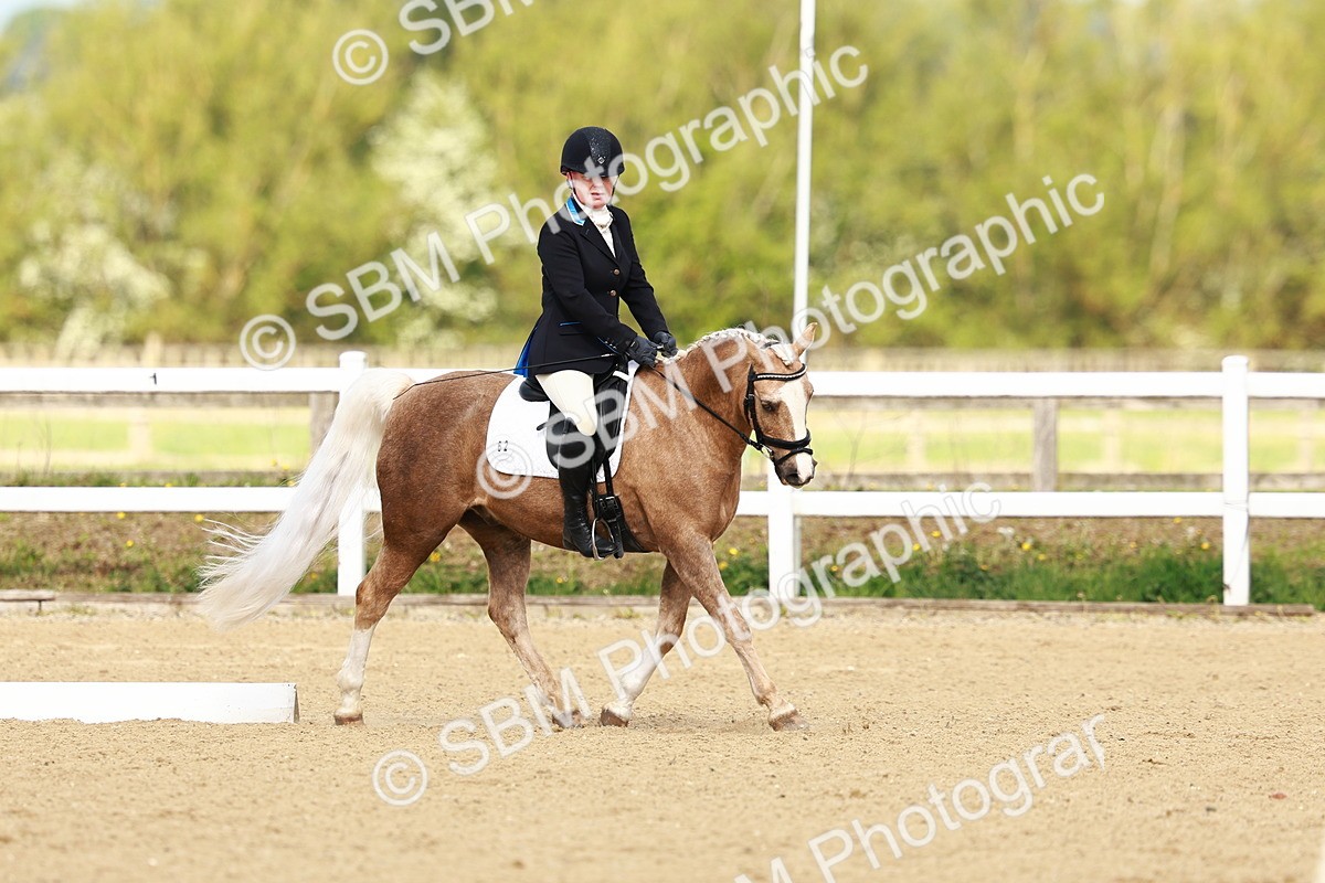 SBM_000563 - Class 8 - N5