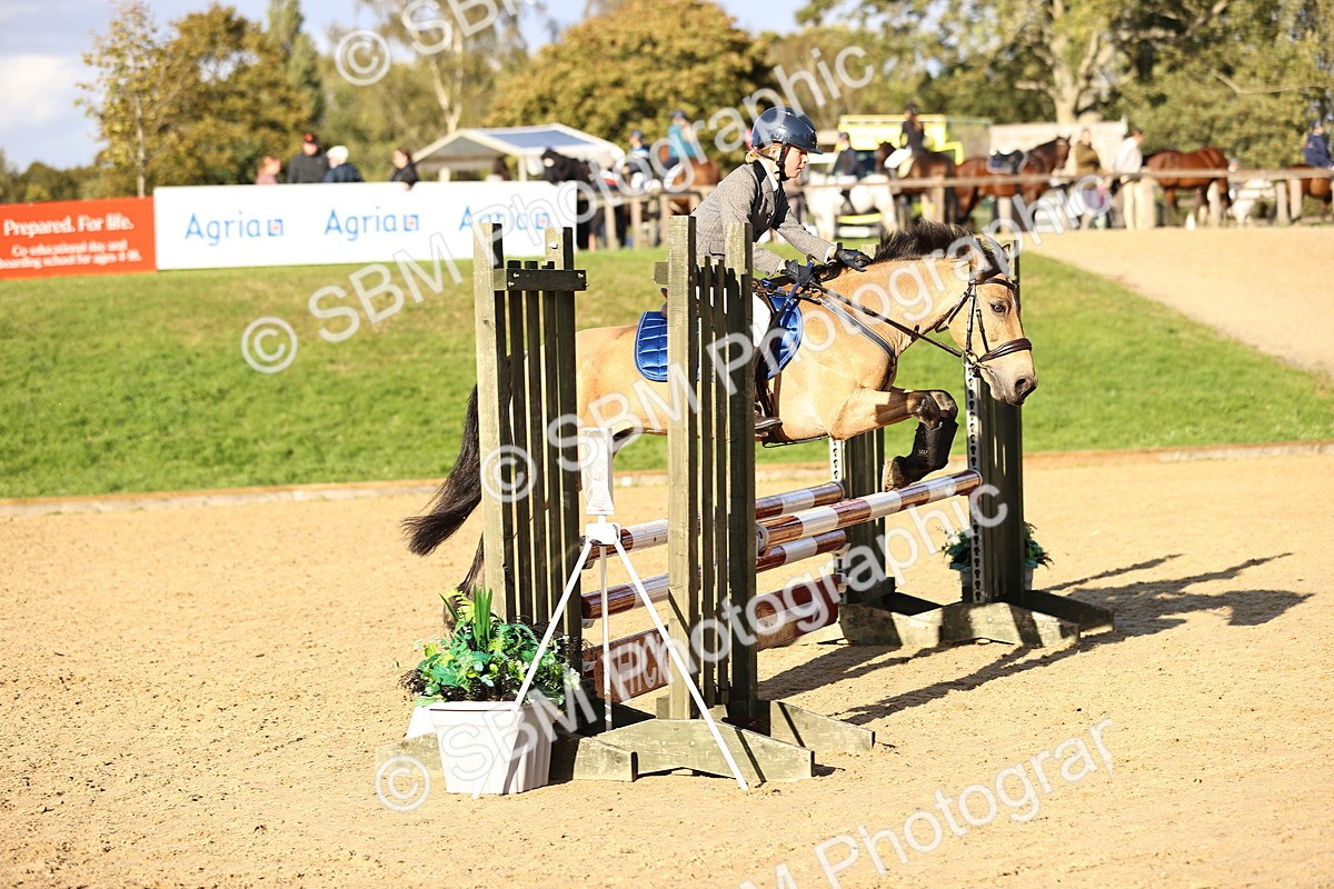 SBM_51889 - J10 - Junior Pony 75cm Championship