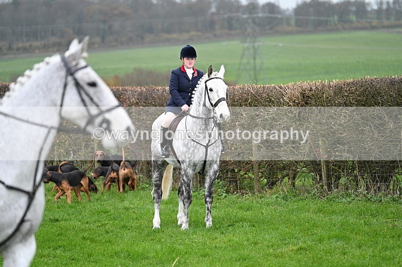 WJ7_8807 - Meet Staff & Hounds