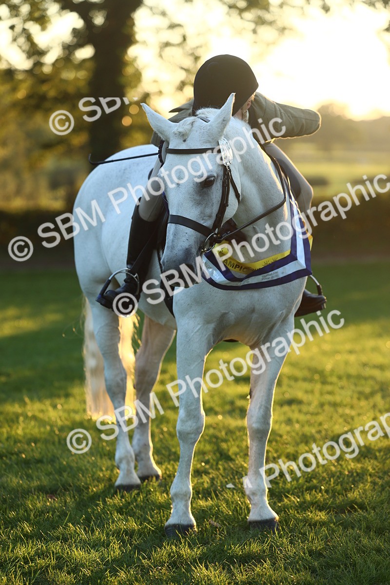SBM_56675 - Fun & Versatile Supreme Championship