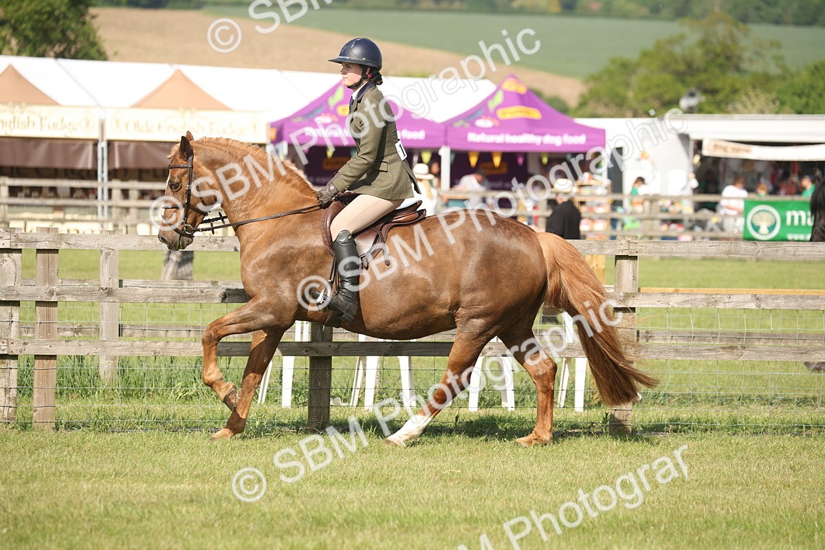 SBM_09785 - Class 33-38 - SSADL RIHS Qualifiers
