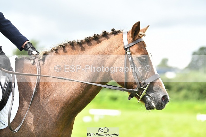 230826-122409-19414 - PC 70 Start to 1pm