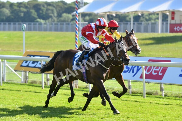  - Race 6 4.50pm The Ice Co supporting Macmillan Stakes