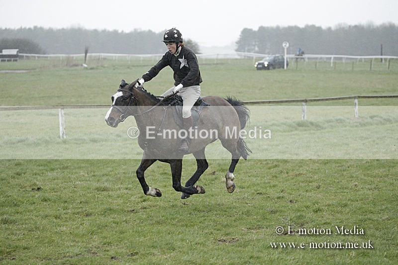 PtP 150320 0056 - New Forest Point-to-Point Larkhill 15/03/20