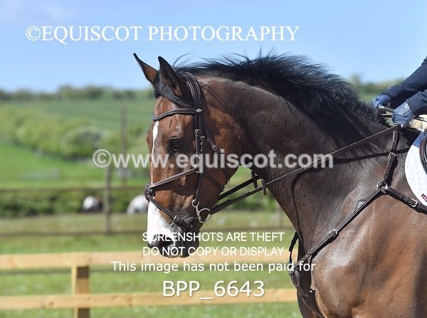 BPP_6643 - CLASS 37 MON 0.85m Amateur Championship Qualifier
