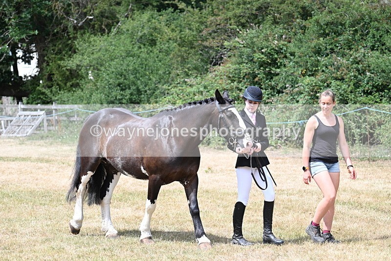 WJ7_1928 - Class 4a Prettiest Mare 14.2hh and over hand