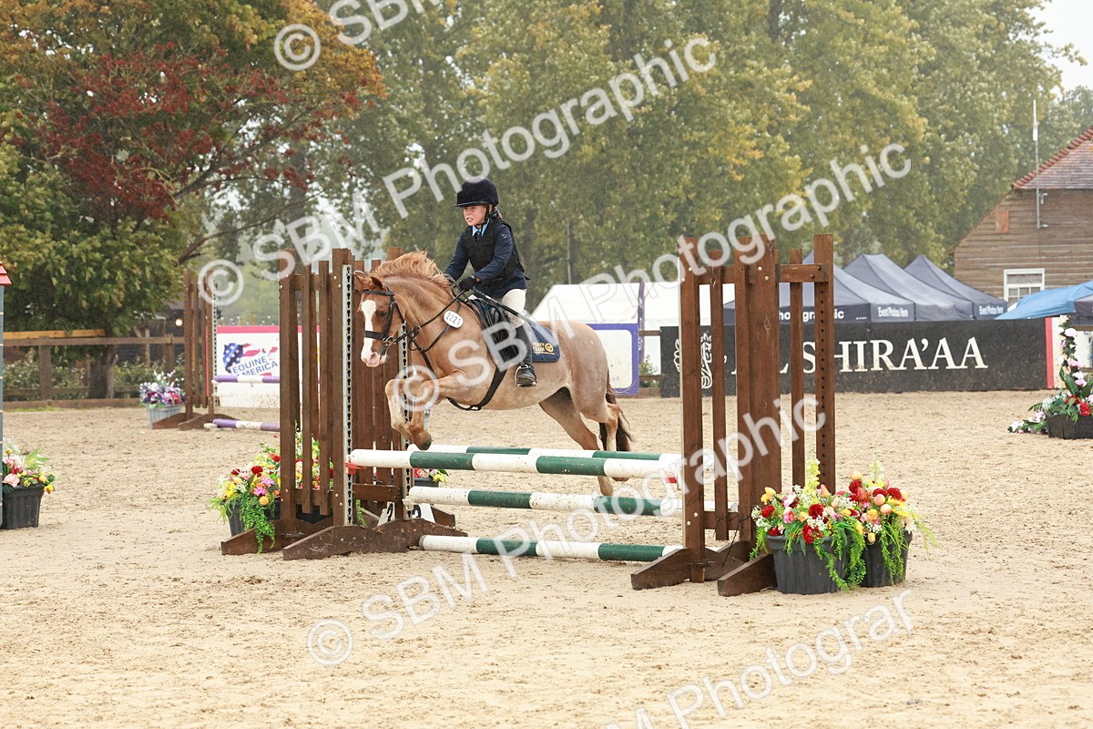 SBM_73336 - Supreme Championship Junior Pony 60cm & 65cm