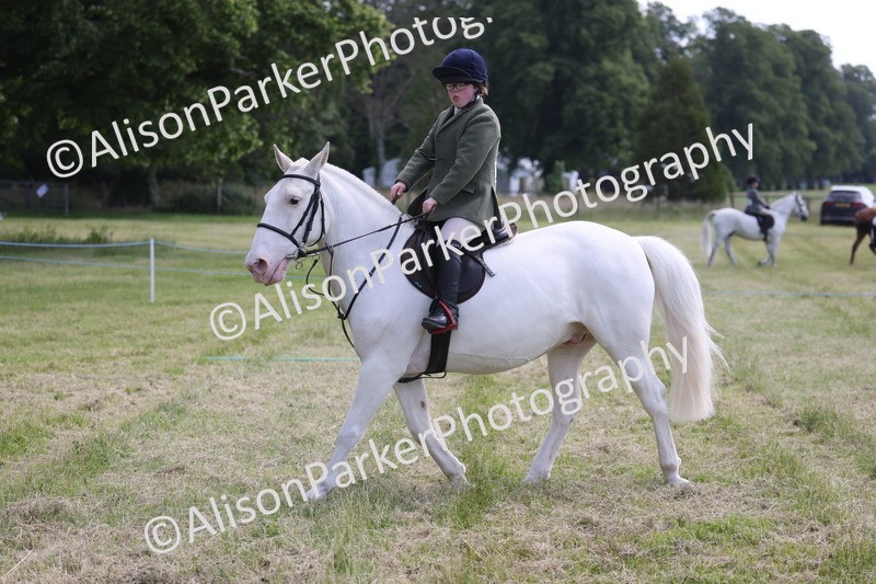 20260614-0780 - Class 20 - Beginners Working Hunter Pony