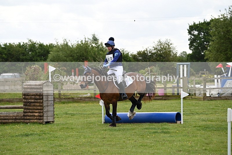 WJ6_2399 - Class 2 40cm