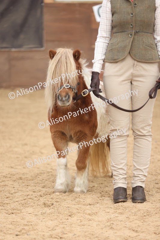 20251109-0322 - Class 13 - Mares 4 Years and Over