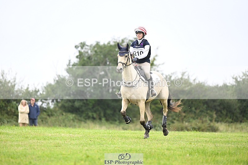 240831A-151610-04456 - 210-Zara.Head-FOURFIELDS.X.FAKTOR