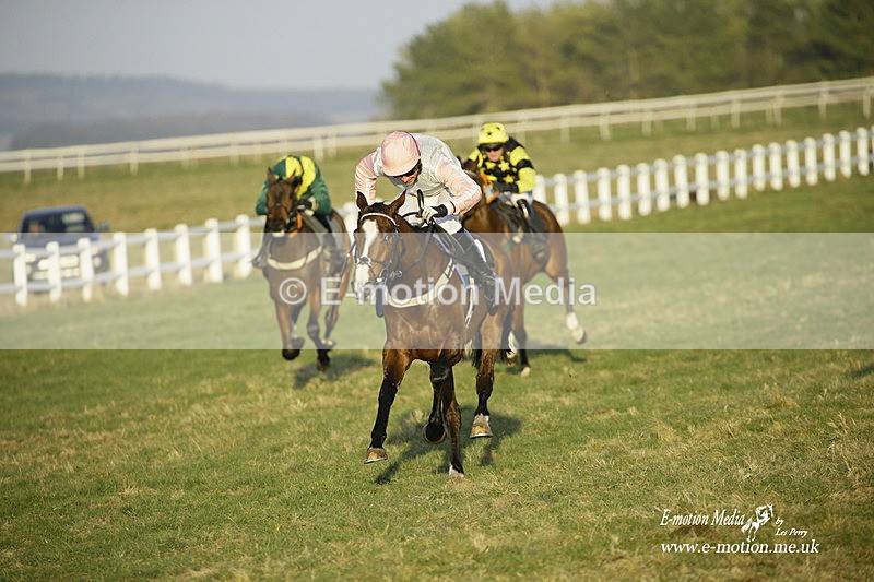 PtP 270222 700 - South & West Wilts Point-to-Point Larkhill 27/02/22