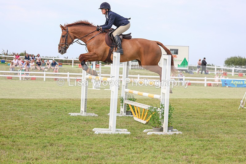 3E7A0849 - Class C: Showjumping Senior Foxhunter