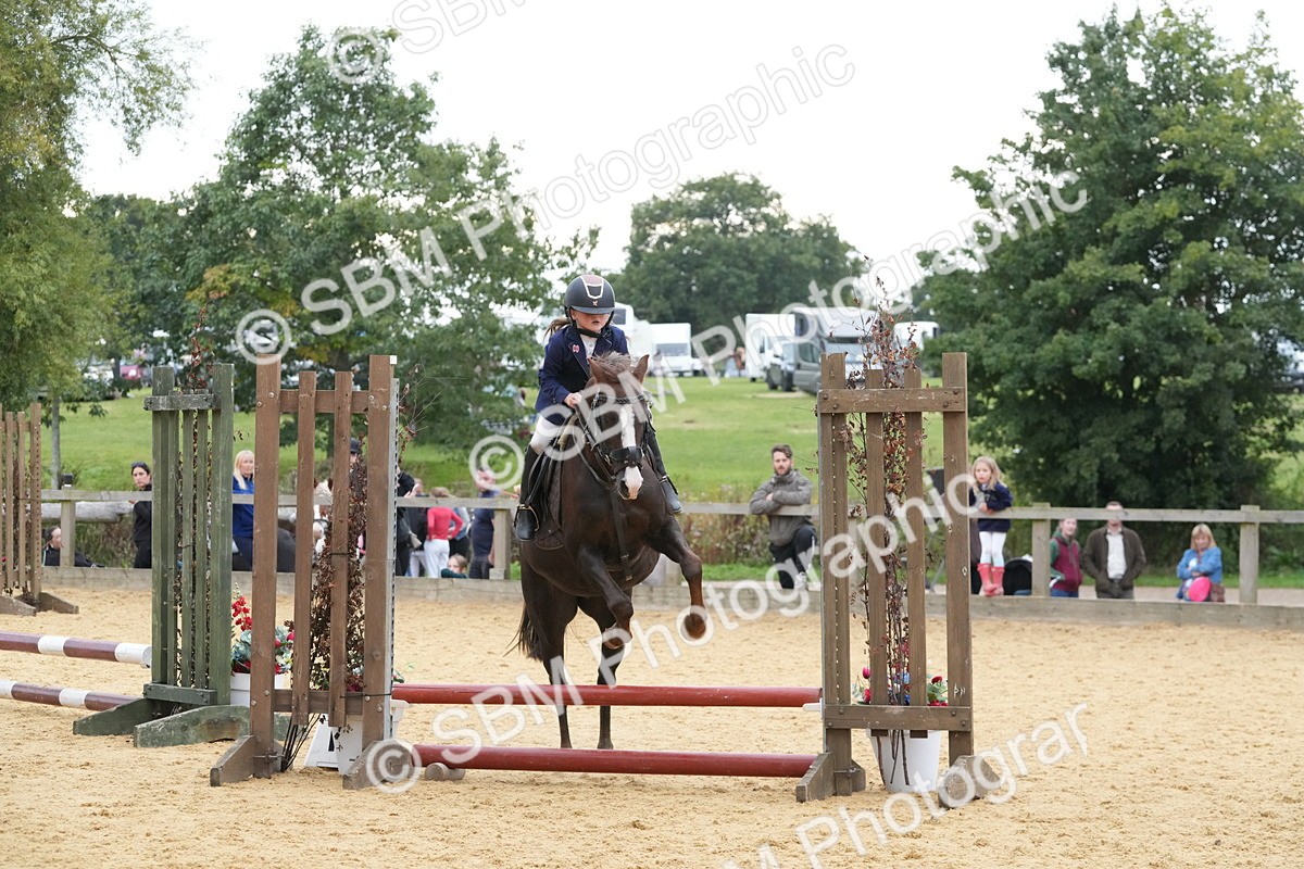 SBM_74544 - J4 - Mini Tour Junior Pony 45cm Championship