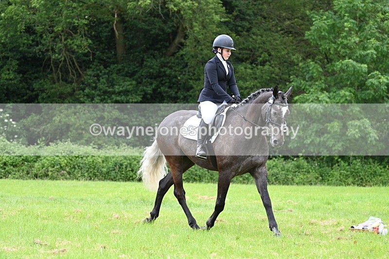 WJ7_2098 - Class 12A Coloured Class