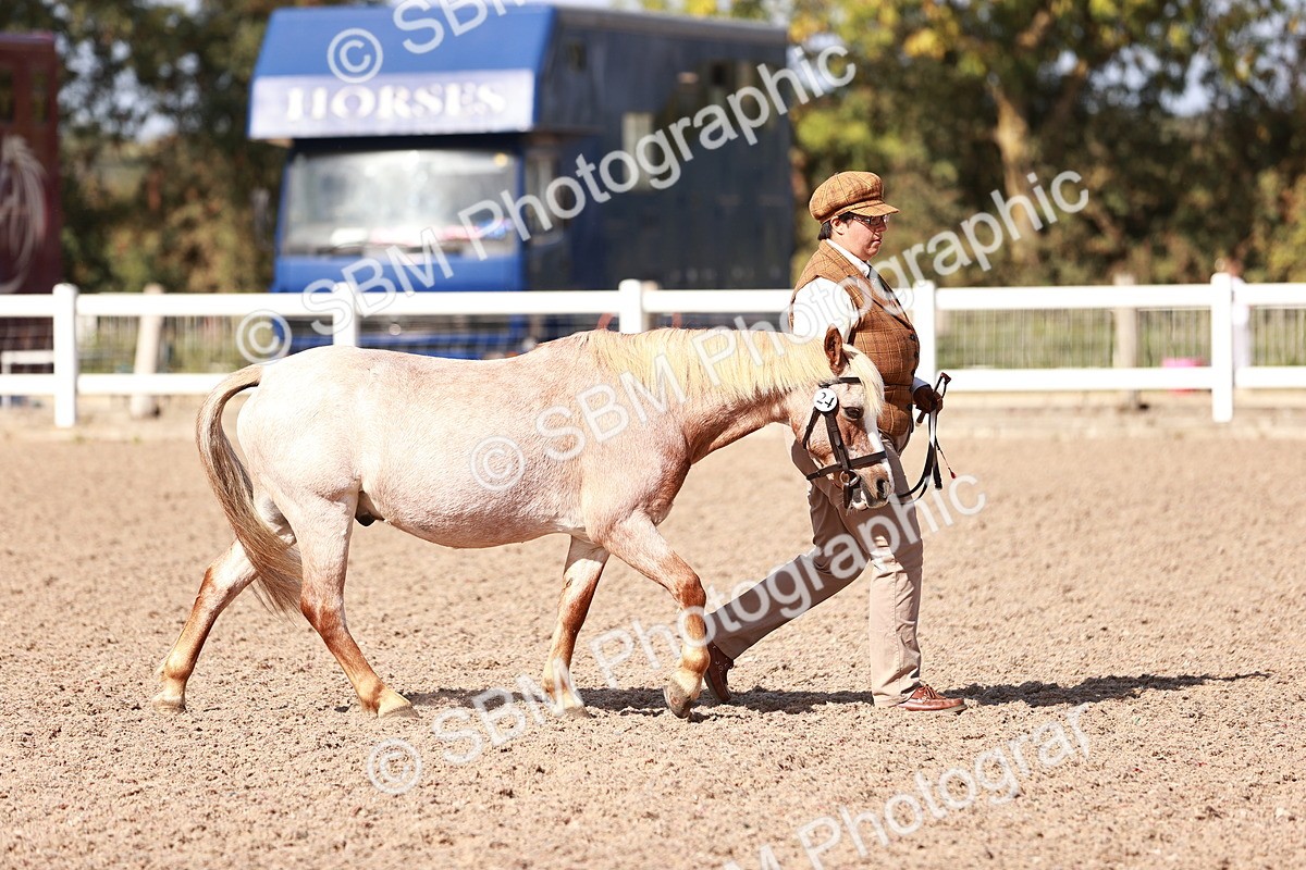 SBM_22869 - Class 706 - IH Veteran