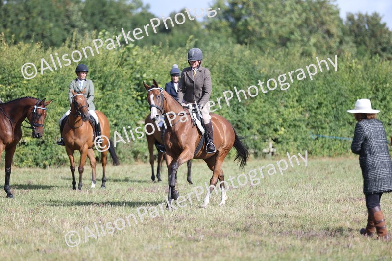 20250831-0918 - Class 14 - Ex Racehorse