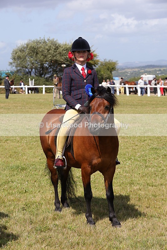 1X9A5450 - Class 37: NPS M&M First Ridden
