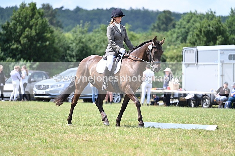 WJ7_4861 - Time 11:22 to 11:51