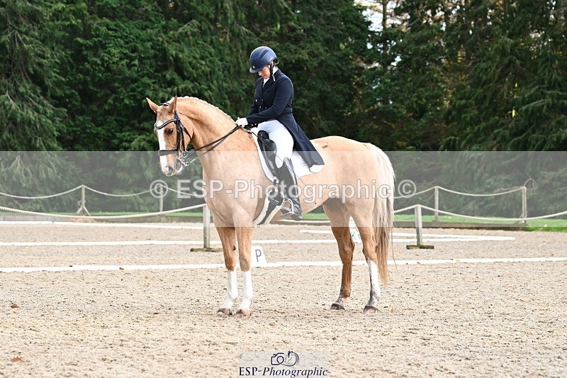 231110-152913-02205 - Cls 11 FEI PSG