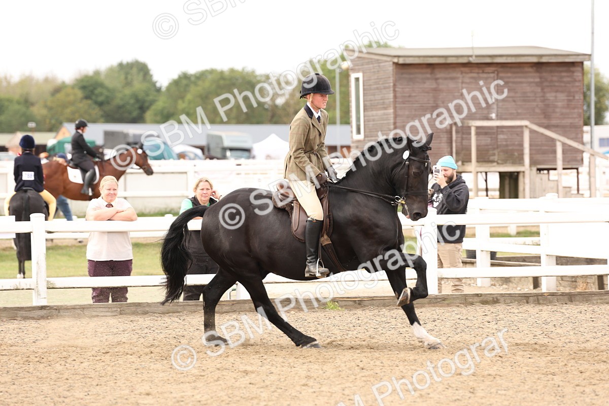SBM_02822 - Class 53 - Ridden Competition Horse/Pony