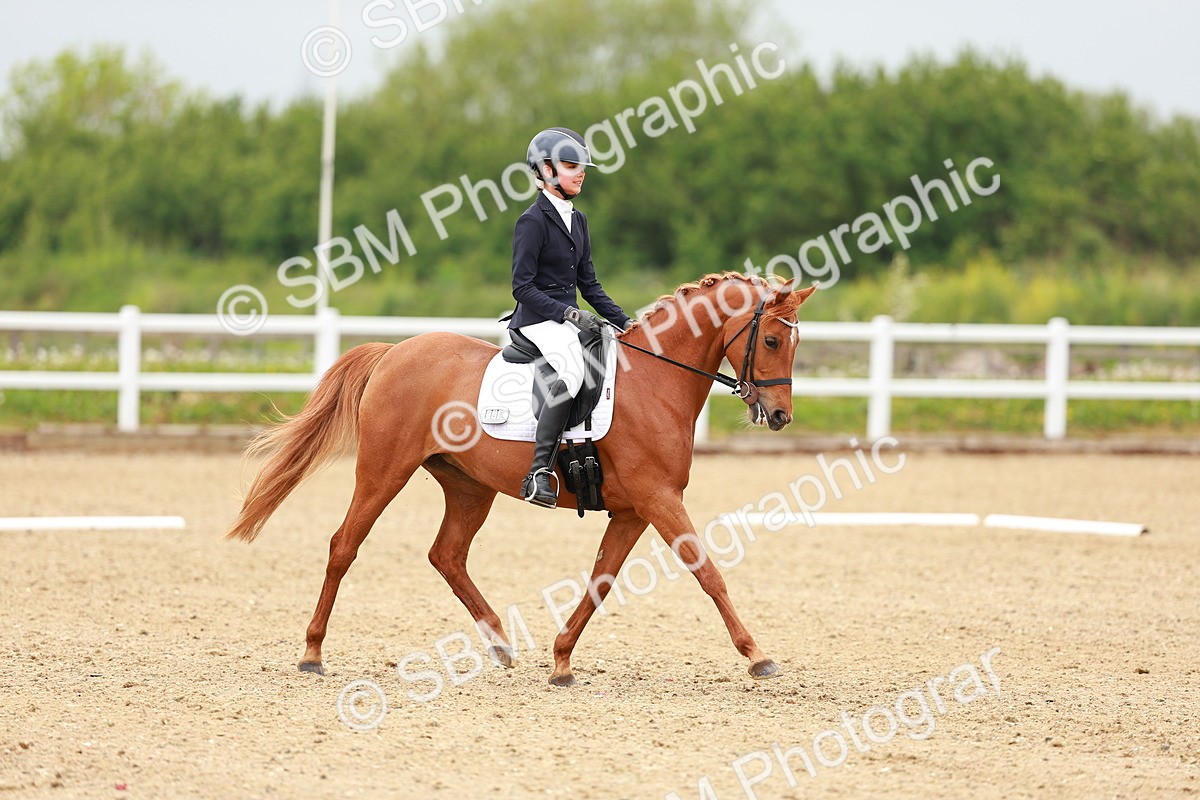 SBM_004689 - Class 15 - Novice 5