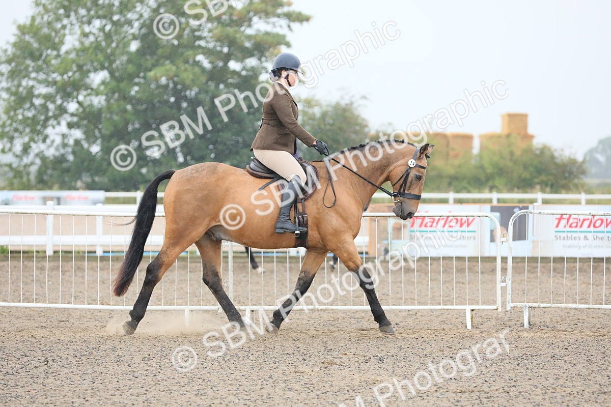 SBM_19847 - Class 801 - Ridden Veteran
