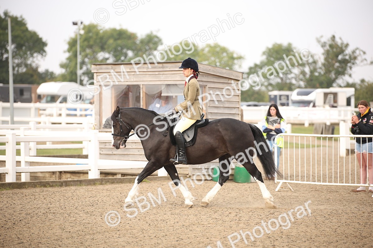 SBM_09704 - Class 401 Riding Club Pony