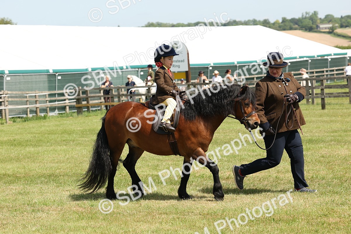 SBM_05243 - Class 24-25 - Mountain & Moorland In Hand Lead Rein and First Ridden
