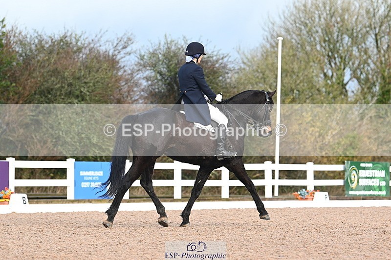 240218A-092949-05126 - 181-sue.langley-S-Cal8