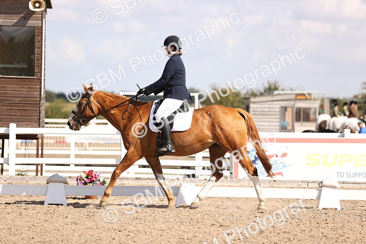 SBM_03551 - CLass 35 Intro 3