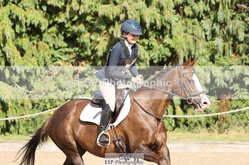 250803A-170930-17763 - R-821-Josephine.Grey-GEMMASTON.ALL.THAT.GLITTERS