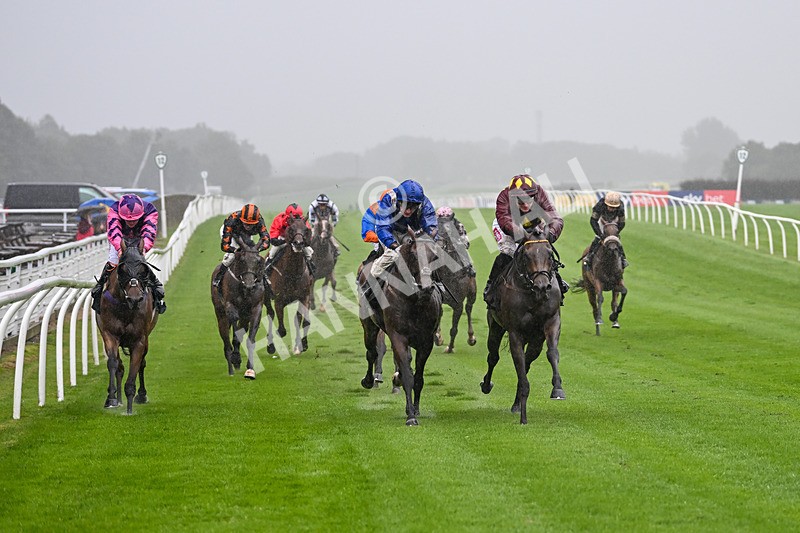 230725-Race 3-Emerald Army-0043 - Race 3