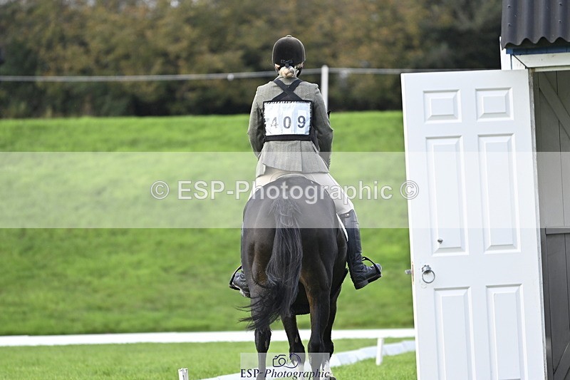 251023A-105056-02943 - F-409-Gemma.Wells