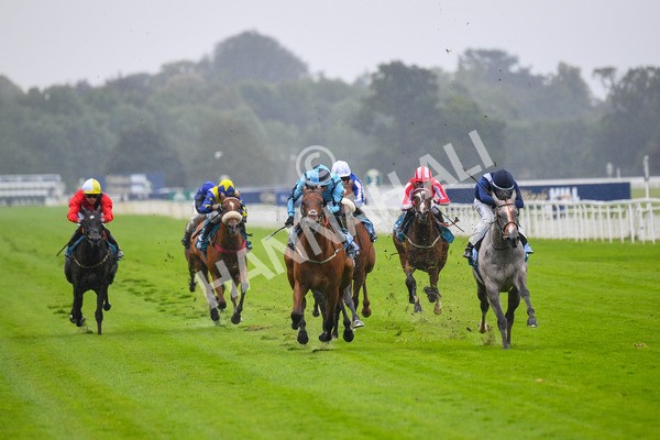 140723-Race 3-Symbology-0262 - Race 3 3.15pm William Hill Keep Your Raceday Positive Irish EBF Fillies' Novice Stakes