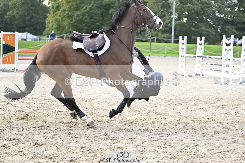 251005A-180312-05564 - Cls 12 Adv 1.10m Ind