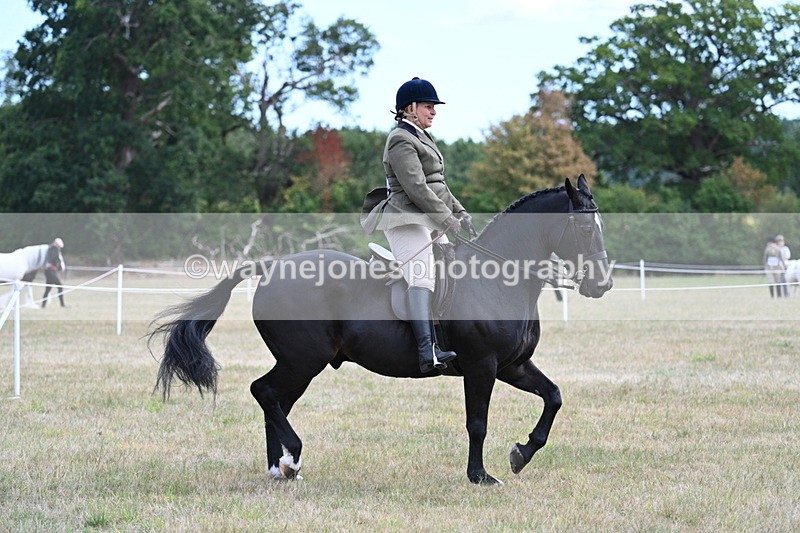 WJ7_5989 - Class 13 Ridden Veterans