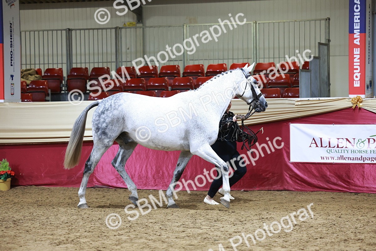 SBM_20324 - Class E - Best Turned Out Champ