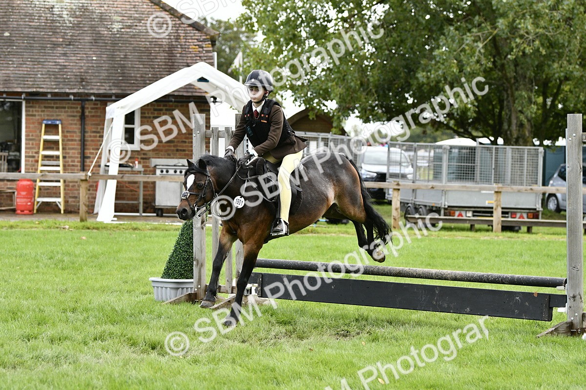 SBM_41265 - S32 - Mountain & Moorland Working Hunter Pony