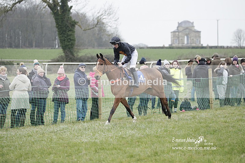 PtP 040323 545 - Duke of Beauforts Hunt Point-to-Point Didmarton 04/03/23