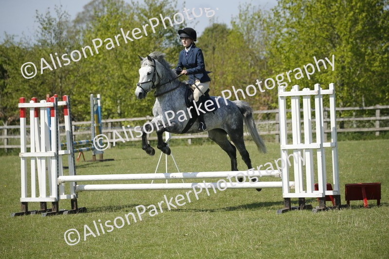 20250427-2242 - Class 13 - Novice Jumping 60cm