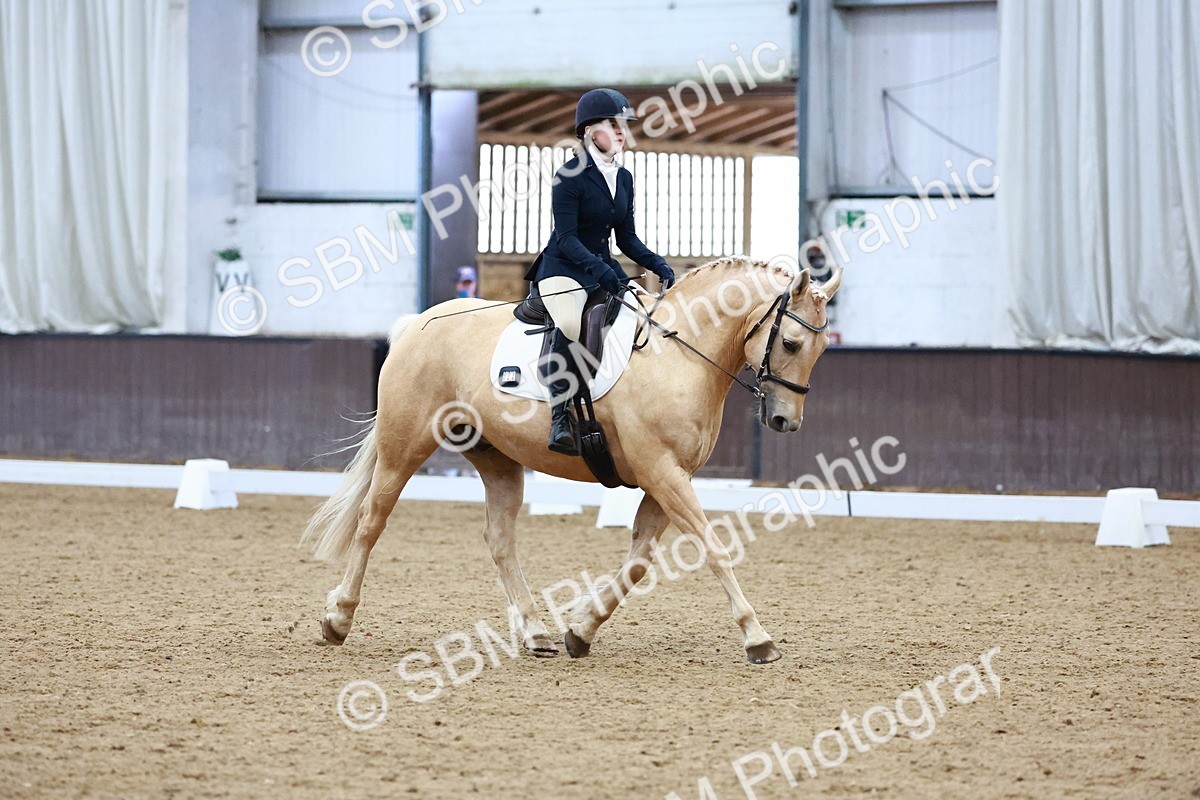 0B8A8279 - Class 5 - Novice 2