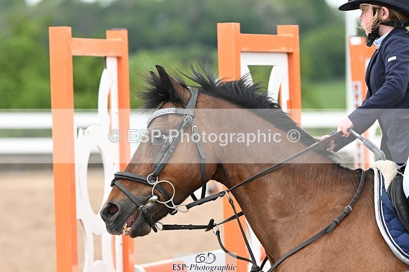 250504-143813-03659 - Cls 23 Stepping Stones